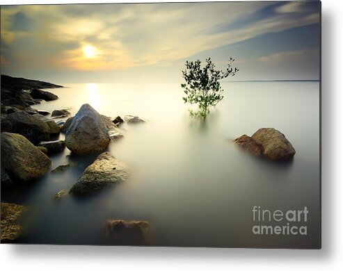 Beauty Metal Print featuring the photograph A Lone Tree Partially Submerged by Shahrulnizamks