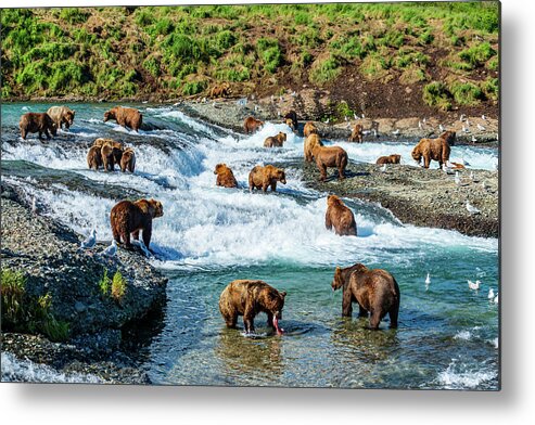 #faatoppicks Metal Print featuring the photograph A Lot of Bears by Ian Stotesbury