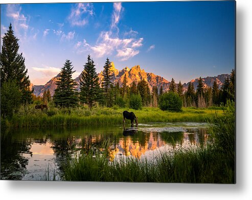  Metal Print featuring the photograph A Morning At Grand Teton by Wenjin Yu