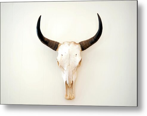 Horned Metal Print featuring the photograph A Picture Of An Animal Skull On A White by Philary