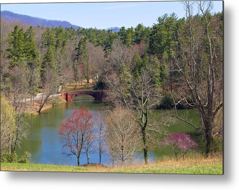 Pond Metal Print featuring the photograph A Place To Ponder by Allen Nice-Webb