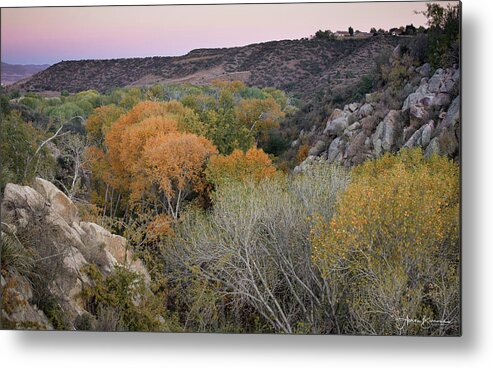 Fall Colors Metal Print featuring the photograph A Splash of Orange by Aaron Burrows