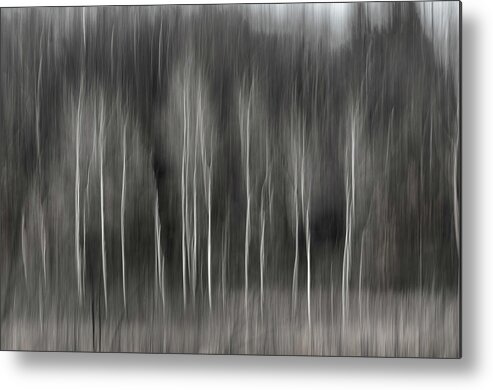 Abstract Metal Print featuring the photograph Abstract of Birch At The Edge Of The Marsh 2018-2 by Thomas Young