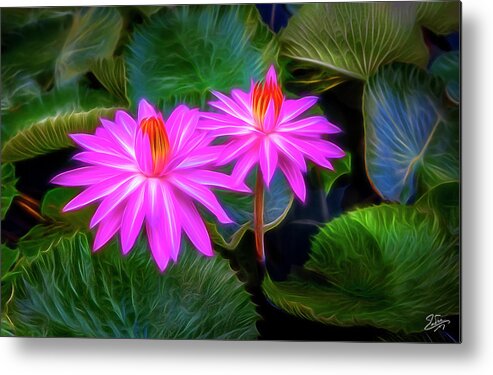 Water Lilies Metal Print featuring the digital art Abstracted Water Lilies by Endre Balogh