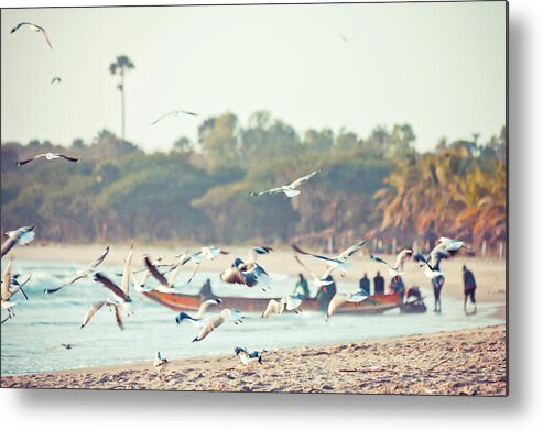 Outdoors Metal Print featuring the photograph African Fishing Boat And Seabirds by Peeterv