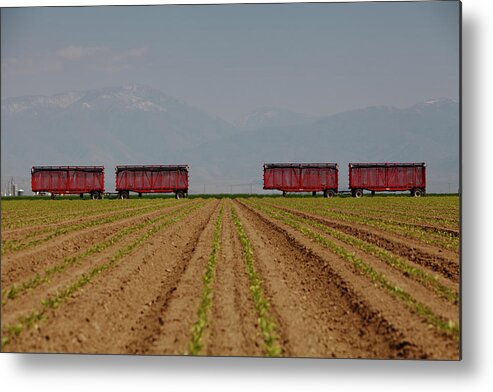 Freight Transportation Metal Print featuring the photograph Agriculture by Seth Joel