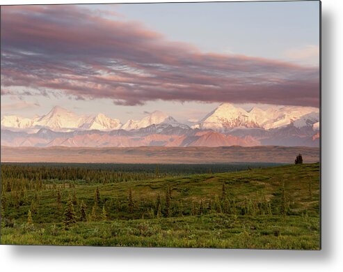 Scenics Metal Print featuring the photograph Alaska Range With Mt Brooks by John Elk