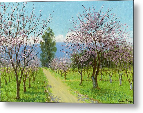 Theodore Wores Metal Print featuring the painting Almond blossoms, Los Altos by Theodore Wores