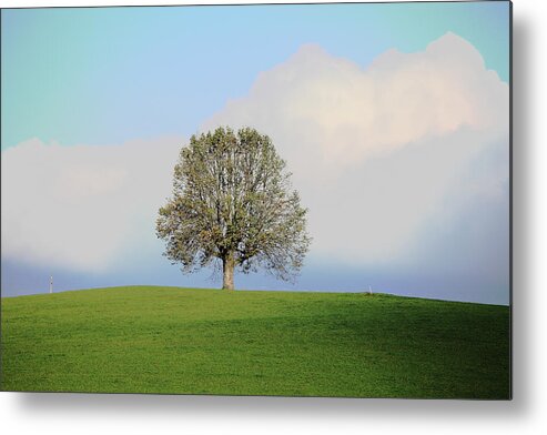 Scenics Metal Print featuring the photograph Alone Tree On The Top Of A Hill by Martial Colomb