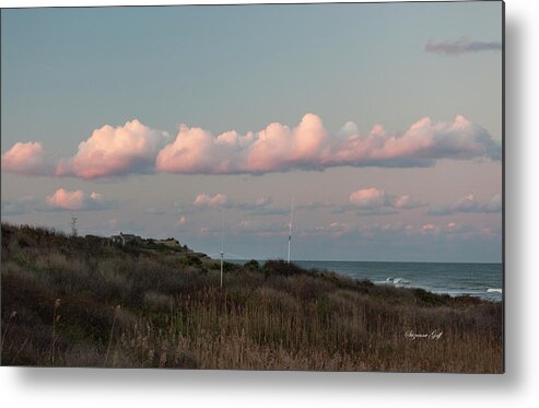 Photograph Metal Print featuring the photograph Along the Cape by Suzanne Gaff