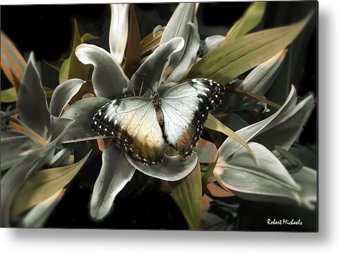  Metal Print featuring the photograph Among The Lillies by Robert Michaels