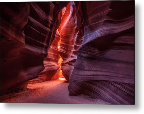 Antelope Metal Print featuring the photograph Antelope by Cesar Alvarez Osorio