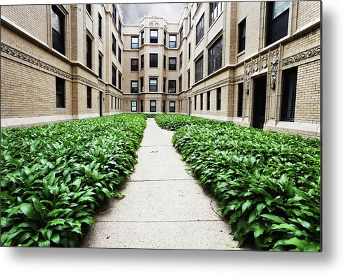 Apartment Metal Print featuring the photograph Apartment Buildings With Hostas In by Stevegeer