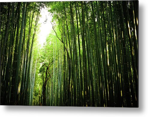 Tranquility Metal Print featuring the photograph Arashiyama Bamboo Grove by Ronnie Tan