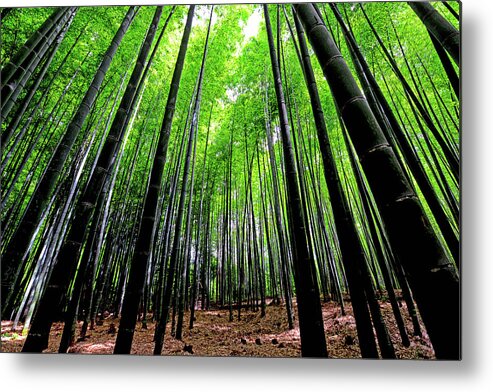 Tranquility Metal Print featuring the photograph Arashiyama Bamboo Grove by Sakhar Nair