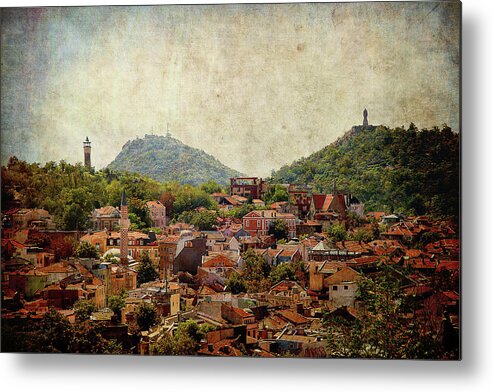 Plovdiv Metal Print featuring the photograph at Bird Sight by Milena Ilieva