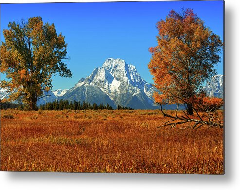 Grand Teton National Park Metal Print featuring the photograph Autumn Beneath Mount Moran by Greg Norrell