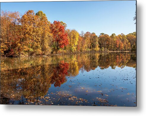 Autumn Color And Reflections Moraine State Park Of Pennsylvania Metal Print featuring the photograph Autumn Color and Reflections Moraine State Park of Pennsylvania by Debra Martz