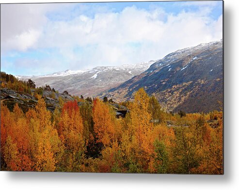 Scenics Metal Print featuring the photograph Autumn Colors In The Mountains by Ekely