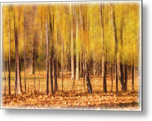 Trees Metal Print featuring the photograph Autumn Dreaming by Cathy Kovarik