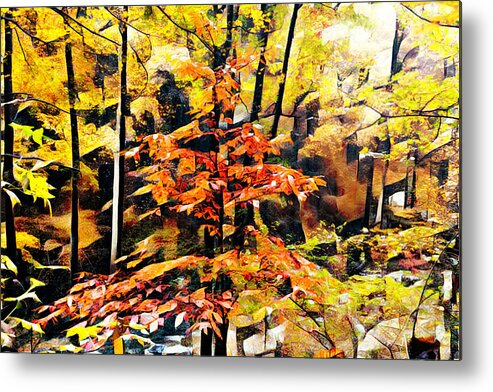 Fall Metal Print featuring the photograph Autumn Forest Leaves Abstract by Debra and Dave Vanderlaan
