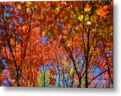 Autumn Metal Print featuring the photograph Autumn Impressions by Robyn King