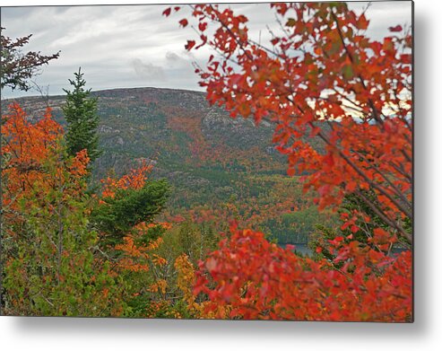 Acadia National Park Metal Print featuring the photograph Autumn in Acadia by Paul Mangold