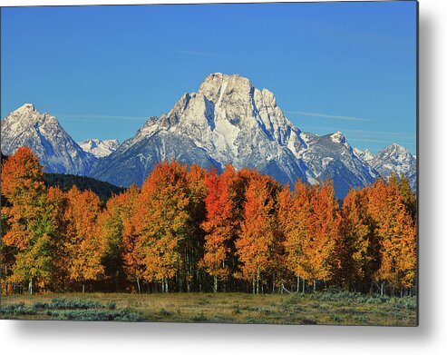 Mount Moran Metal Print featuring the photograph Autumn Peak Under Moran by Greg Norrell