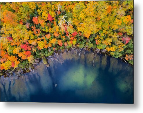 Michigan Metal Print featuring the photograph Autumn Pond by John Fan