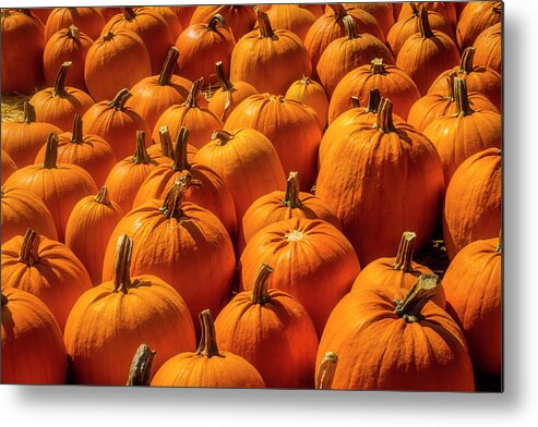 Pumpkins Metal Print featuring the photograph Autumn Pumpkin Field by Garry Gay