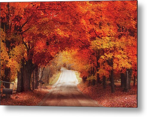 Autumn Metal Print featuring the photograph Autumn Road by Magda Bognar