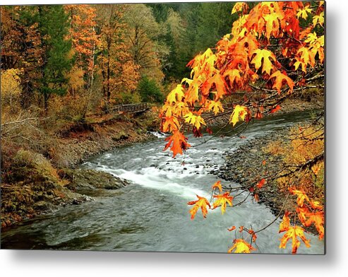 Autumn Metal Print featuring the photograph Autumn View From The Bridge by William Rockwell