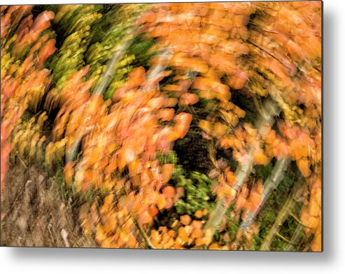 Abstract Metal Print featuring the photograph Autumn Vortex by Denise Bush