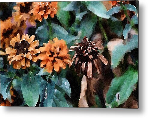 Autumn Metal Print featuring the painting Autumn Zinnias by Bonnie Bruno