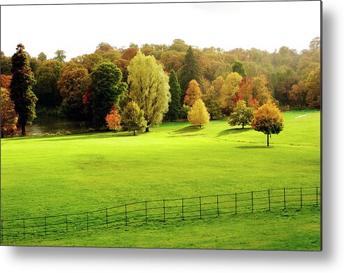 Grass Metal Print featuring the photograph AutumnÃ¡colours On Hampstead Heath by Oliver Strewe