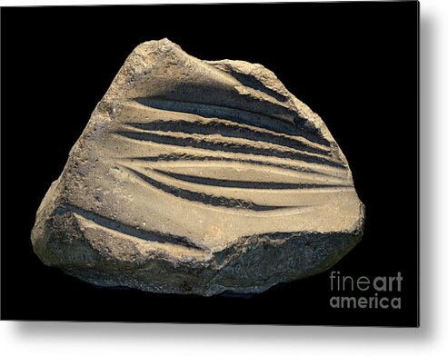 Axe Metal Print featuring the photograph Axe Grinding Stone by David Parker/science Photo Library