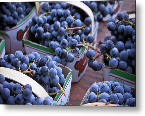 Toronto Metal Print featuring the photograph Baskets Of Grapes by Mary Smyth