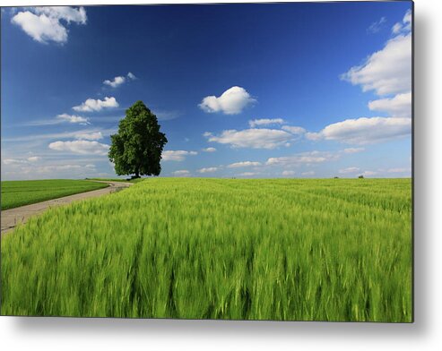 Rice Paddy Metal Print featuring the photograph Bavarian Landscape by Achim Thomae