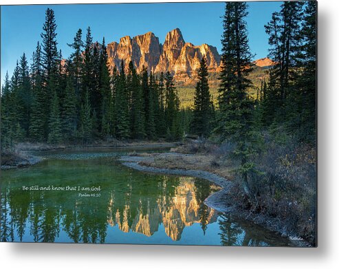 2015 Metal Print featuring the photograph Be Still by Tim Kathka