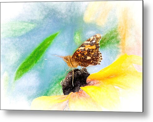 Cosmopolitan Metal Print featuring the photograph Beautiful Painted Lady Butterfly by Don Northup