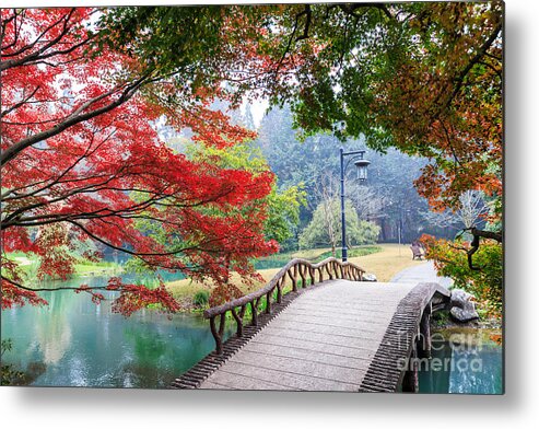 Small Metal Print featuring the photograph Beautiful Park In Autumn by Zhao Jiankang