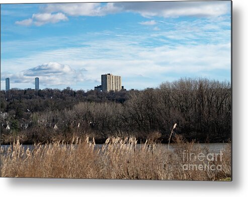 Landscape Metal Print featuring the photograph Beautiful Sky by Sam Rino