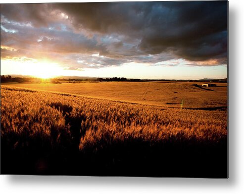 Scenics Metal Print featuring the photograph Beautiful Sunset Over Ripe Wheat Field by Timnewman