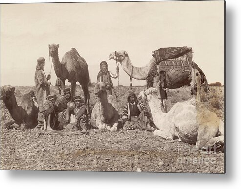 People Metal Print featuring the photograph Bedouins Rest With Their Camels by Bettmann