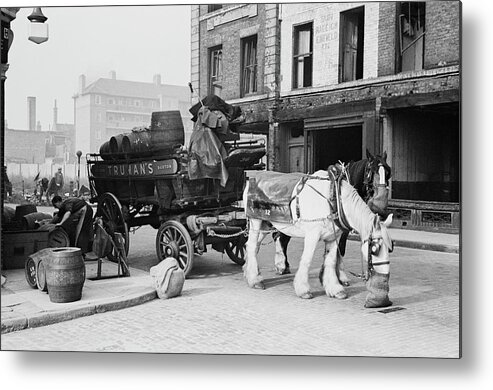 Horse Metal Print featuring the photograph Beer And Oats by Bert Hardy