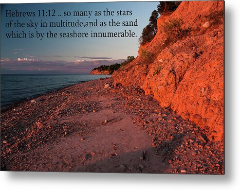 Bible Verse - Hebrews 11-12 Metal Print featuring the photograph Bible Verse - Hebrews 11-12 by Anthony Paladino