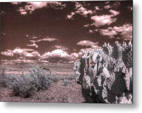 Cactus Metal Print featuring the photograph Big Bend Cactus Landscape Infrared by Jane Linders