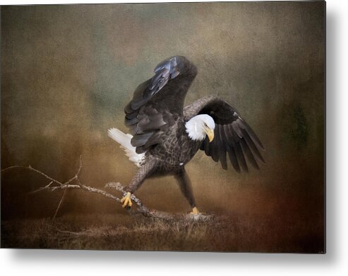 Bald Eagle Metal Print featuring the photograph Big Challenges by Jai Johnson