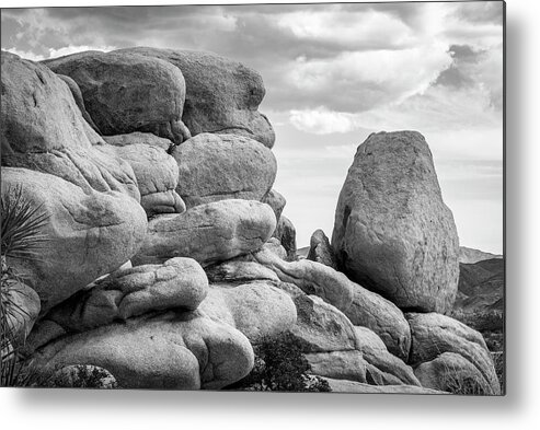 Black And White Metal Print featuring the photograph Big Rock Joshua Tree 7411 by Amyn Nasser