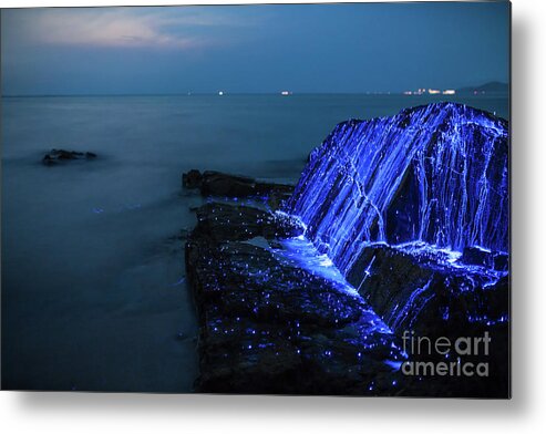 Water's Edge Metal Print featuring the photograph Bio-luminescent Shrimp Spill by Tdub video